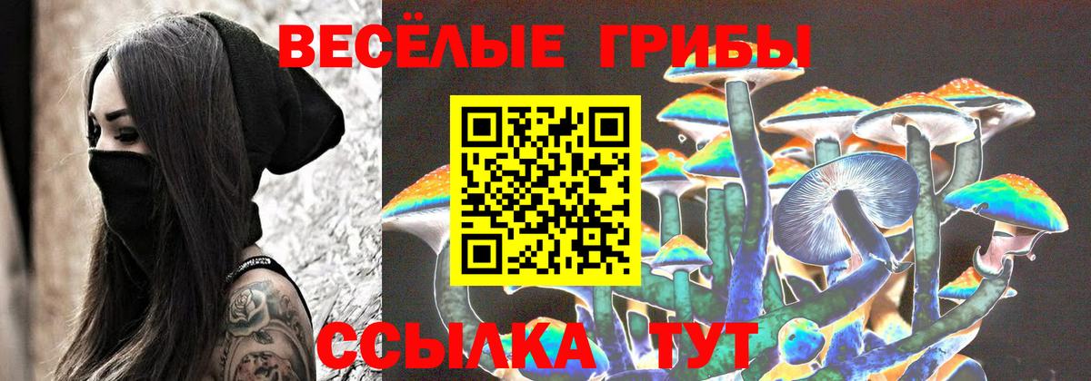 Железногорск  Галлюциногенные грибы Cubensis  Вход с VPN 
