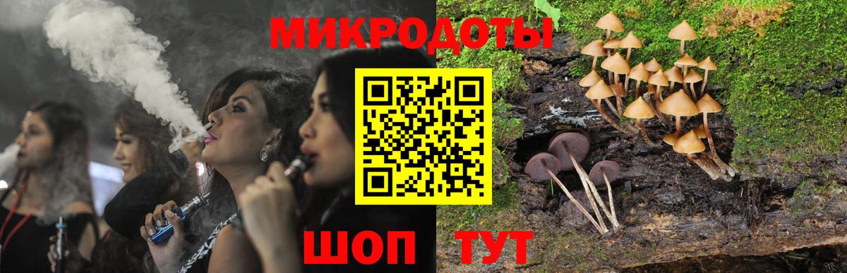 Галлюциногенные грибы Cubensis Железногорск